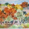 Cypress Trees in Fall - Pedernales River