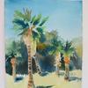 Palm Trees - Laguna Gloria