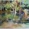 Swimming Hole - Krause's Springs