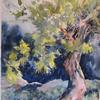 Cedar Tree